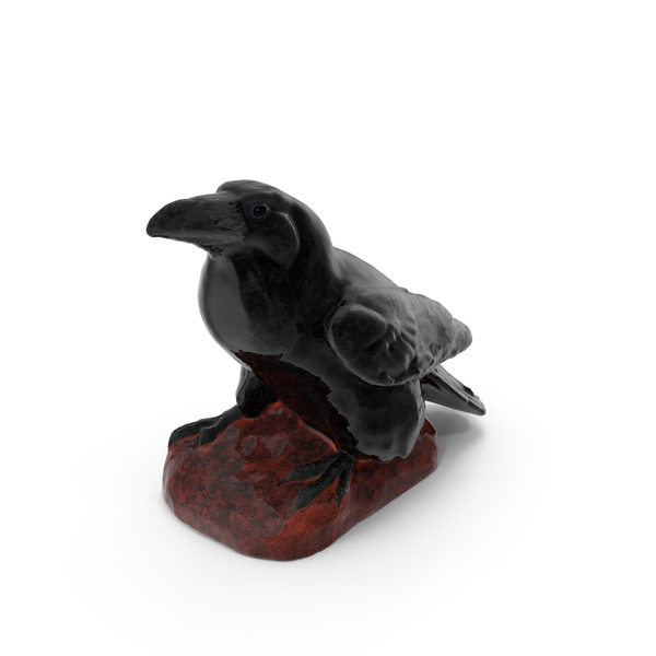 Raven PNG & PSD Images