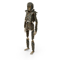 Armored Skeleton PNG & PSD Images