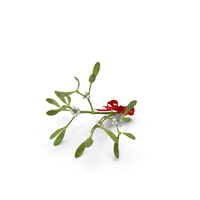 Mistletoe with Red Bow PNG & PSD Images
