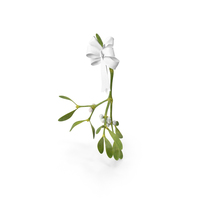 Mistletoe with White Bow PNG & PSD Images