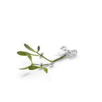 Mistletoe with White Bow PNG & PSD Images