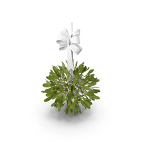 Mistletoe with White Bow PNG & PSD Images