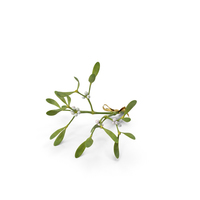 Mistletoe with Gold Bow PNG & PSD Images