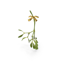 Mistletoe with Gold Bow PNG & PSD Images