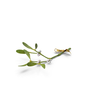 Mistletoe with Gold Bow PNG & PSD Images