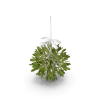 Mistletoe  with White Bow PNG & PSD Images