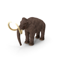 Mammoth Adult PNG & PSD Images