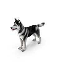 Siberian Husky Black and White Coat PNG & PSD Images