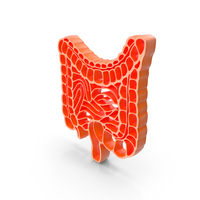 Medical Human Intestine Logo PNG & PSD Images