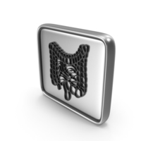 Medical Human Intestine Logo Frame Silver PNG & PSD Images
