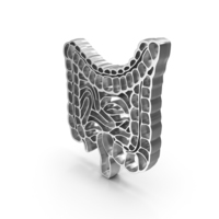 Medical Human Intestine Logo Silver PNG & PSD Images