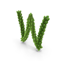 English Letter W Christmas Garland PNG & PSD Images