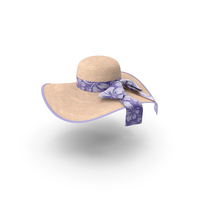 Fashion Sunhat PNG & PSD Images