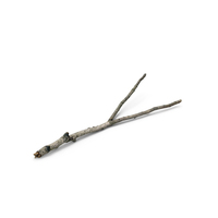 Branch PNG & PSD Images