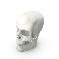 Skull PNG & PSD Images
