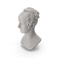 Young Woman Bust PNG & PSD Images