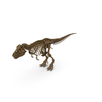 Tyrannosaurus Rex Skeleton PNG & PSD Images
