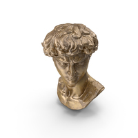 Bronze David Head PNG & PSD Images