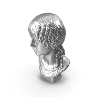 Girl Bust Metal PNG & PSD Images