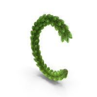 English Letter C Christmas Garland PNG & PSD Images