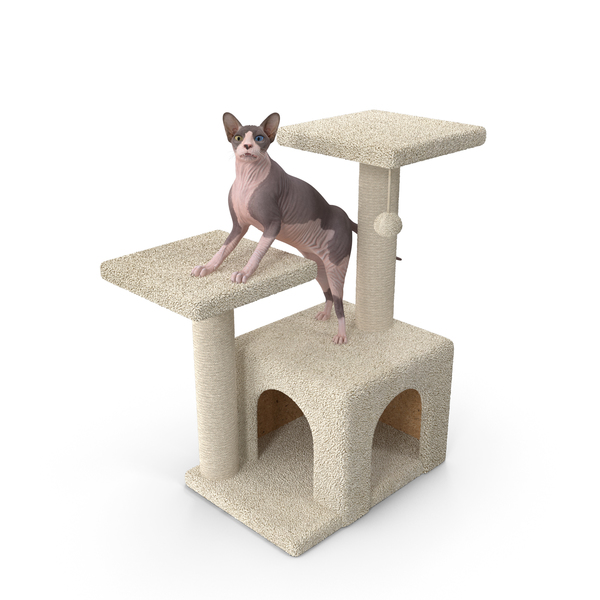 Cat Tree 3-Level with Cat PNG & PSD Images