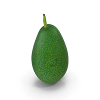 Avocado Scan 01 PNG & PSD Images