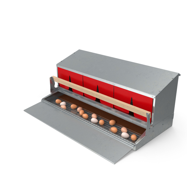 Large Reversible Rollaway Nest Box with Eggs PNG & PSD Images