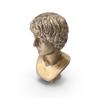 Young Man Bronze Bust PNG & PSD Images