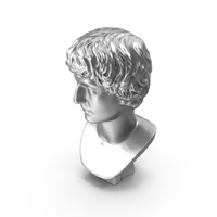Young Man Metal Bust PNG & PSD Images