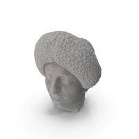 Flavian Woman Stone Head PNG & PSD Images