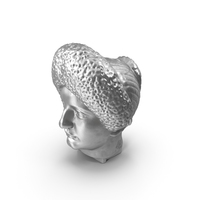 Flavian Woman Metal Head PNG & PSD Images