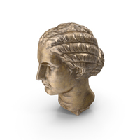 Woman Head Bronze Statue PNG & PSD Images