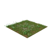 Grass With Flowers On Ground PNG & PSD Images