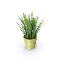 Grass In Pot PNG & PSD Images
