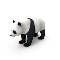 Giant Panda PNG & PSD Images