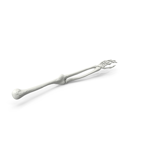 Arm Skeleton PNG & PSD Images