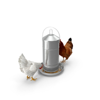 Poultry Feeder with Chickens PNG & PSD Images