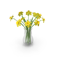 Narcissus in Vase PNG & PSD Images
