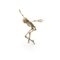 Worn Skeleton jumping PNG & PSD Images