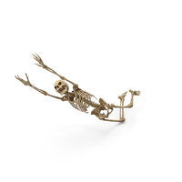 Worn Skeleton reaching jump PNG & PSD Images