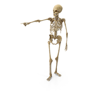 Worn Undead Skeleton Pointing PNG & PSD Images
