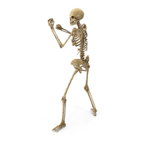Worn Skeleton Boxing Stance PNG & PSD Images