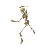 Worn Skeleton Aggressive Fighting Stance PNG & PSD Images