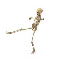Worn Skeleton Kicks PNG & PSD Images