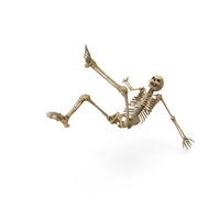 Worn Skeleton free falling PNG & PSD Images