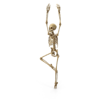 Worn Skeleton Dance Ballet PNG & PSD Images