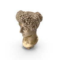 Flavia Bronze Bust PNG & PSD Images