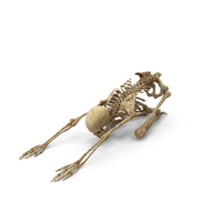 Worn Skeleton Worship PNG & PSD Images