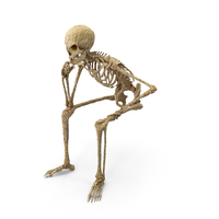 Worn Skeleton Sitting Thinking PNG & PSD Images