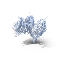 Frozen Tree PNG & PSD Images